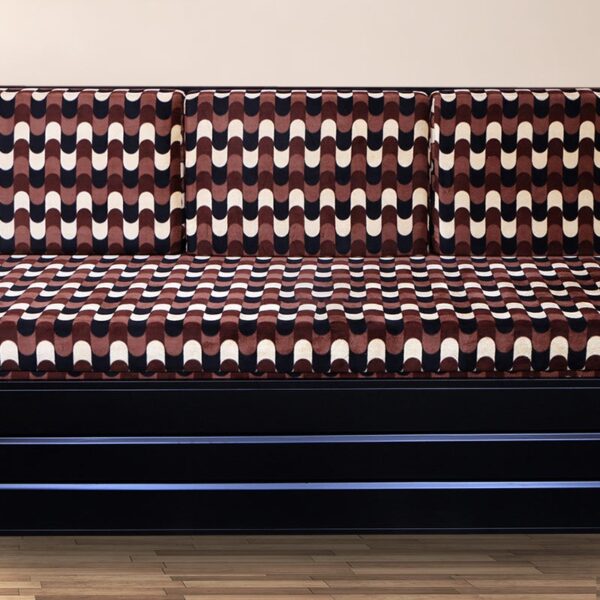 Shinfin Sofa cum Bed