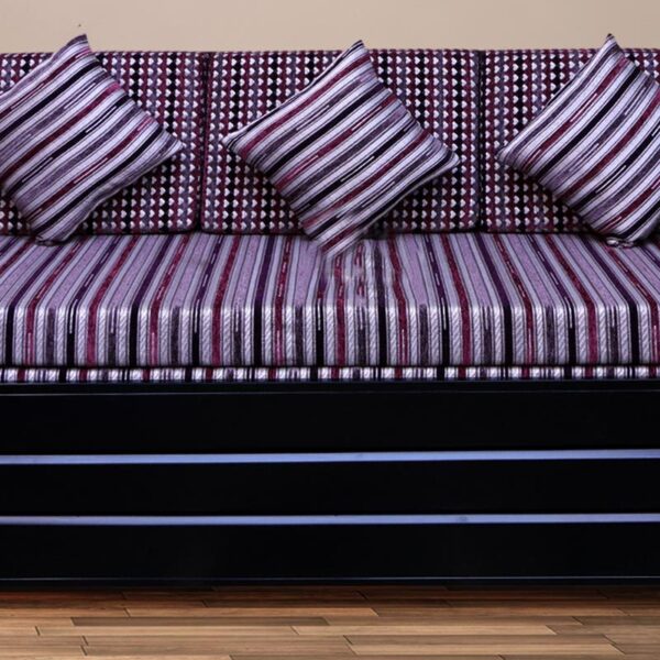 Zeccer Sofa Cum Bed