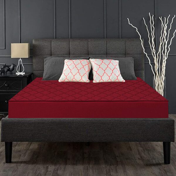 Royal Interiors Mattress For Bed