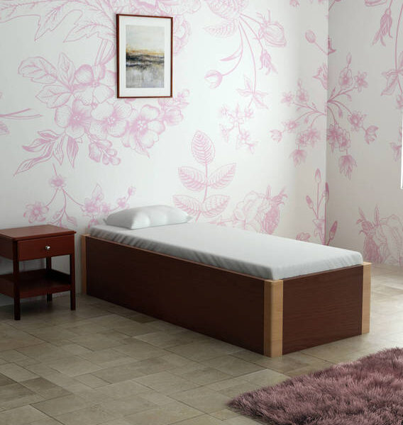 Royal Interiors Divan For Living Room